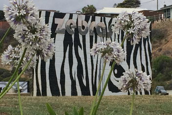 Zebras Guest House Geraldton with Geraldton Accommodation