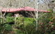 Adelaide Hills B&B Accommodation - thumb 1