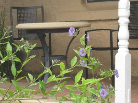 Amalie Cottage Waikerie Unit 1 - Geraldton Accommodation 2