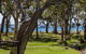 Bay Parklands 28 Pool Tennis Court And Stunning Views - thumb 0