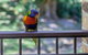 Bay Parklands 28 Pool Tennis Court And Stunning Views - thumb 2