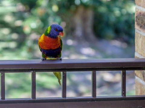 Bay Parklands 28 Pool Tennis Court And Stunning Views - Geraldton Accommodation 2