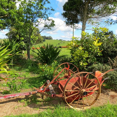 Maleny Springs Farm - Geraldton Accommodation 37
