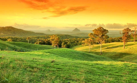 Maleny Springs Farm - Geraldton Accommodation 20