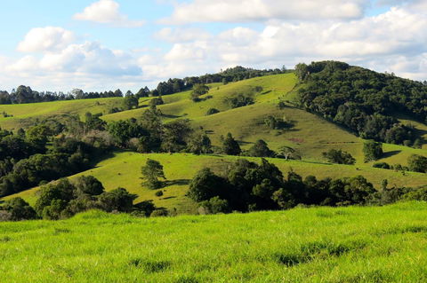 Maleny Springs Farm - Geraldton Accommodation 0