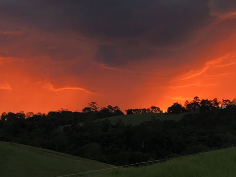 Maleny Springs Farm - Geraldton Accommodation 6