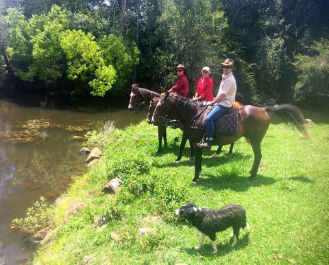 Maleny Springs Farm - Geraldton Accommodation 33
