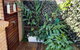 Beach Life - 3 Bedroom Duplex, 80 Steps To Mermaid Beach - thumb 2