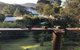 Carr Street Murramurang National Park - thumb 1