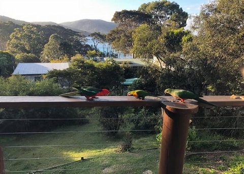 Carr Street Murramurang National Park - Geraldton Accommodation 1
