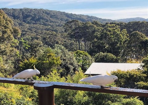 Carr Street Murramurang National Park - Geraldton Accommodation 2