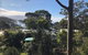 Carr Street Murramurang National Park - thumb 4