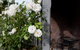 Classic Cottage: Near CBD Hospital & Parking - thumb 3