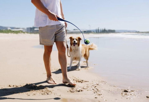 Coastal Retreat Near Shops & Beach - Geraldton Accommodation 2