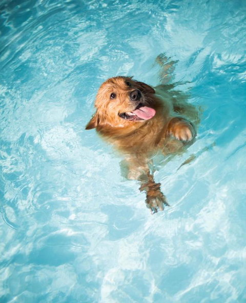 Coastal Springs - PET FRIENDLY & 200m To Beach! - Geraldton Accommodation 1