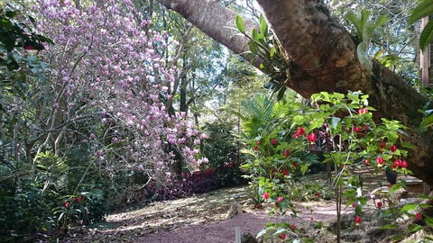 305 Montville - The Artist's Cottage - Geraldton Accommodation 3