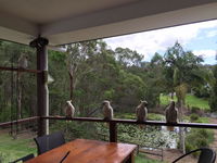 Book Gold Coast Accommodation Vacations Geraldton Accommodation Geraldton Accommodation