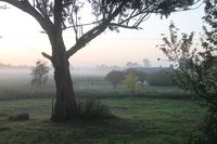 Book Heyfield Accommodation Vacations Geraldton Accommodation Geraldton Accommodation