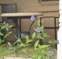 Amalie Cottage Waikerie - Geraldton Accommodation