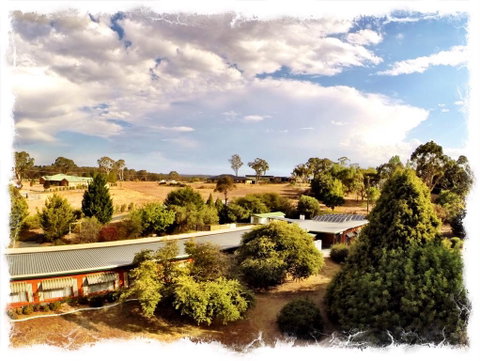 Armidale Rose Villa Motel - Geraldton Accommodation 1