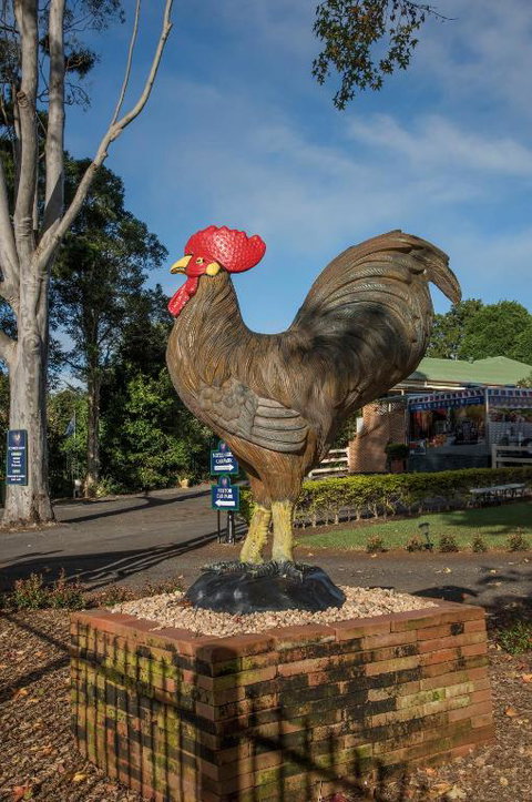 Maleny Hills Motel - Geraldton Accommodation 2
