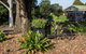 Maleny Hills Motel - thumb 3