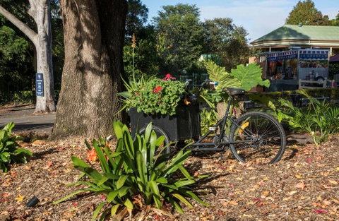 Maleny Hills Motel - Geraldton Accommodation 3