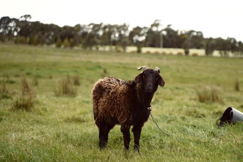 Maluridae Creek Views By Tiny Away - Geraldton Accommodation 2