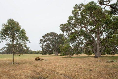Metricup House - Elegant Country Retreat - Geraldton Accommodation 2