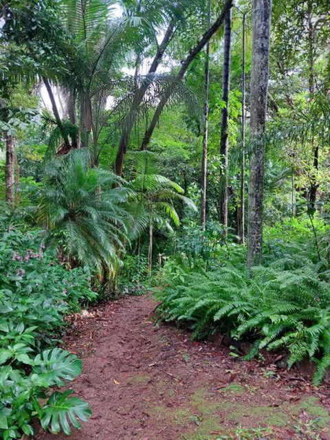 Rainforest Retreat-Fireplace-BBQ-3 Acres- - Geraldton Accommodation 0