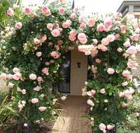 Baudins of Busselton Bed and Breakfast - Geraldton Accommodation