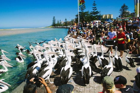 Beach And Ocean Front Penthouse With Wifi And Parking - Geraldton Accommodation 2