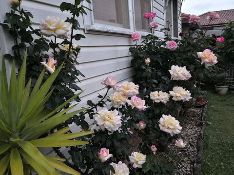 Roomy Rosegarden Flat In Roselands - Geraldton Accommodation 3