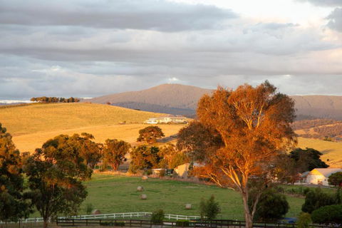Rose Cottage Yarra Glen - Geraldton Accommodation 1