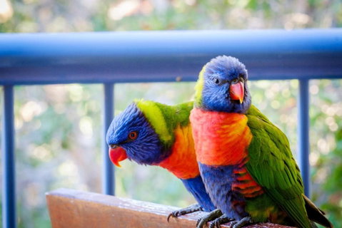 Sanctuary Lake Apartments - Geraldton Accommodation 1
