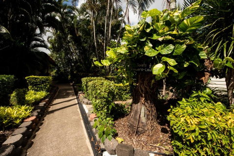 Sarina Palms Caravan And Cabins Village - Geraldton Accommodation 2