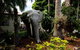 Sarina Palms Caravan And Cabins Village - thumb 3