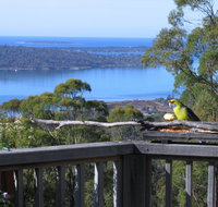 Bed in the Treetops BB - Geraldton Accommodation