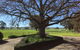 Birchwood Cottage - thumb 1