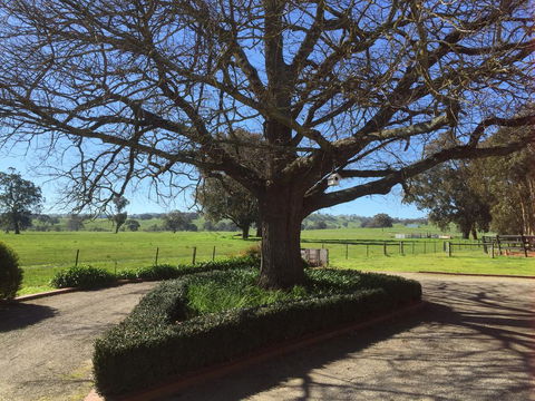 Birchwood Cottage - Geraldton Accommodation 1