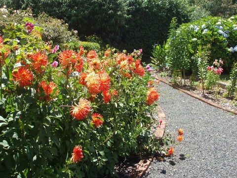 Boat Harbour Garden Cottages - Geraldton Accommodation 0