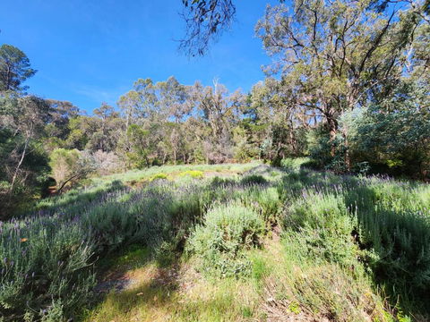 The Lavender Patch - Geraldton Accommodation 3