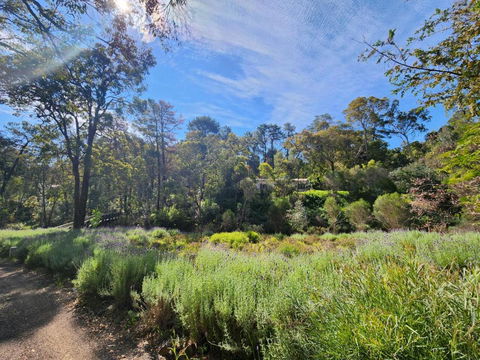 The Lavender Patch - Geraldton Accommodation 2