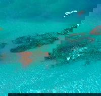Private Tangalooma Wrecks Tour - Geraldton Accommodation
