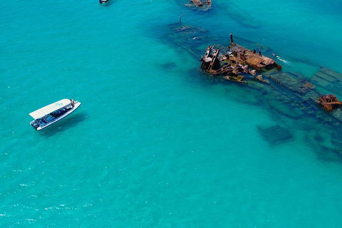Private Tangalooma Wrecks Tour - Geraldton Accommodation 4