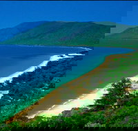 Cairns Reef and Rainforest Combo Daintree Rainforest and the Great Barrier Reef - Geraldton Accommodation