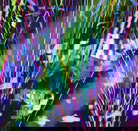 Infinity Attraction - Admission - Geraldton Accommodation