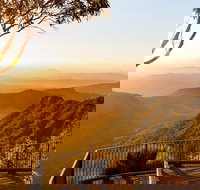 O'Reilly's  Lamington National Park incl. Alpaca Farm  Vineyard - Geraldton Accommodation