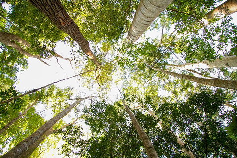 Fraser Island 4WD Tour From Noosa - Geraldton Accommodation 0