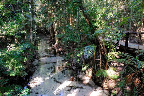 Fraser Island 4WD Tour From Rainbow Beach - Geraldton Accommodation 0